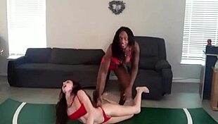 पेरिस लव बनाम अमा रियो कैटफाइट शोडाउन