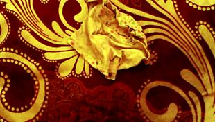 What are you doing with my neighbor's dirty clothes?