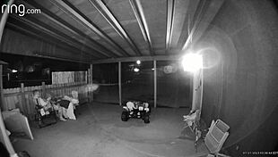 She got caught sucking dick on the back porch, neighbors watching her deepthroat.