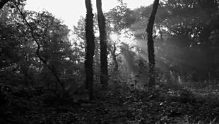 i leaded a chic chick to a pickup spot