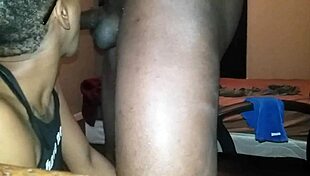 Explore the strength of Blacchammer, a powerful black tool for various tasks