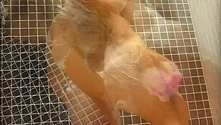 Detailed Scenes of Brunette Brazilian Viviane Araujo in Remastered Edition Three