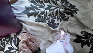 Mi Cuñada With Big Ass And Tits