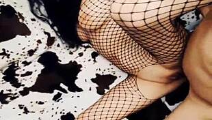 Hot Fuck With Milf Wife In Mesh Lingerie Anal