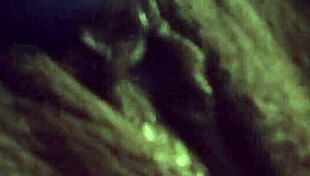 She Loves Masturbating With A Vibrator On Her Shaved Pussy