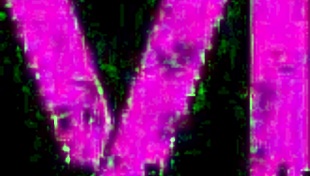 Cristina almeida gets fucked bareback in the parking lot while her cuckold husband films