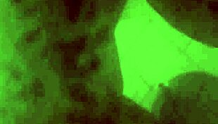 Caught creeping on thick ebony tranny in doggystyle with ball licking, bent over, big cock blowjob, and oral action