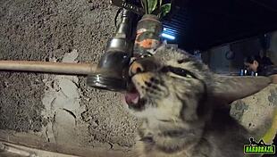 Behind The Scenes! Gabriela Ramos Fucking Monster Cock In Carpentry!