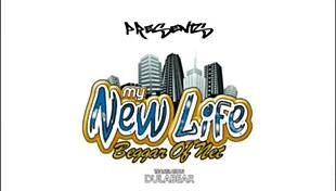 My new life cap 1 resumen, un nuevo comienzo with redhead and big ass