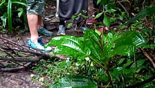 स्टड्स को जंगल की ग्रुप चुदाई में तीव्र मज़ा आता है