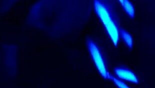 sloppy blowjob on that monster cock, huh?