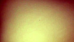 I'm fucking my wife's ass right now