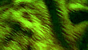 blowjob in casual narrative with sucking and oral