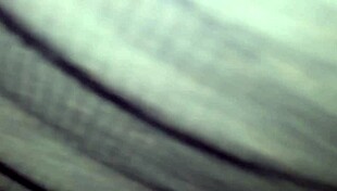 are you a shady slut?