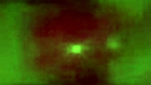 brunette amateur gives blowjob and gets cumshot 😏