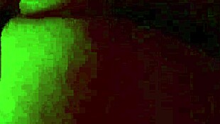 i went to the black couple's house but the wife was pregnant