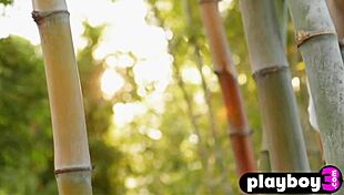 Kennedy Summers, Beautiful Blonde, Poses in Lingerie Then Strips