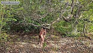 Taking Advantage of My Humility Just to Help Me Out