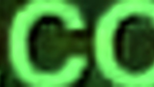 want anal toys in hotel?