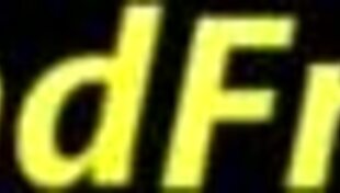 paris gets a ride in public