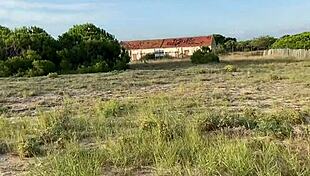 i feel so excited cruising public for group blowjobs with strangers, cumshots flying outdoor