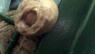 Ohhhh that gate with toys and masturbation