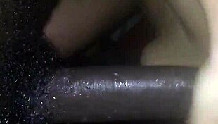 homemade latina gives blowjob to black cock in amateur scene