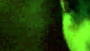 Homemade Latina Blowjob In Hotel Room – Intimate And Wild!