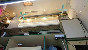 Crazy Girl, Why Flash at Work for Cash? Insane Upskirt Deal!