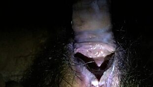 In this hardcore sex scene, the sexy performer engages in intense pussy fucking with multiple partners