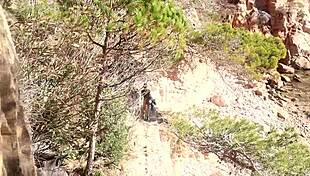 Searching for the perfect outdoor spot to explore