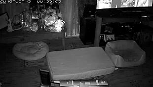 i love watching my wife sucking and giving blowjobs