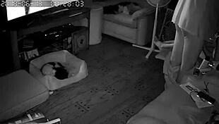 i love watching my wife sucking and giving blowjobs