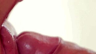 Savory Asian Brunette Chick Kristyna Stars in Erotic Scene with Hardcore Blowjob and Lick