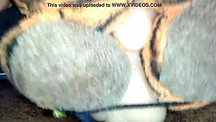 Girl Masturbating With Toy In Raw Action