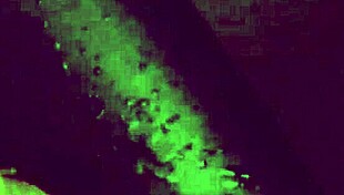 Milf Squirting Huge Cumshot on Face