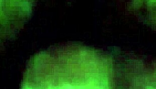 cogitota experiences german culture in an intriguing way