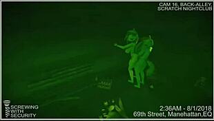 mlp vinyl scratch compilation part 2 in 3d anime style