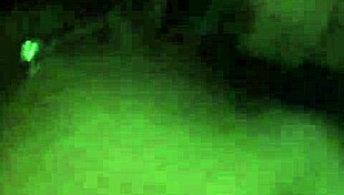 dando um pouquinho de cu pro leo ogro