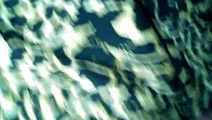 Mature ebony milf gives sloppy blowjob to monster bbc