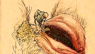 Intriguing Vintage Erotic Drawings From Antique Collections