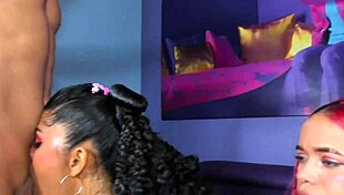 these sluts love sucking cock while getting footjobs