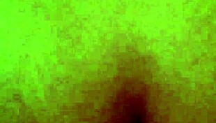 Chilean Latina Takes Massive Cock In Intense Ass Fucking Session