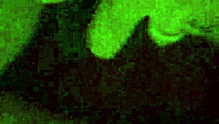 my wife cums hard on dildo