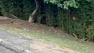 I showed my ass and pussy in the market and gave it to the manager in the stockroom.