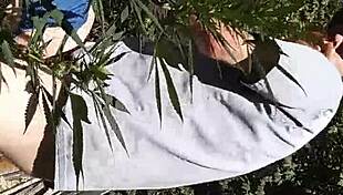 i'm hot suckin' and fuckin' in the 420 patch, he says