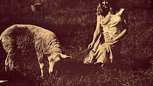 Dark Lantern Presents Retro Beauty And The Beast