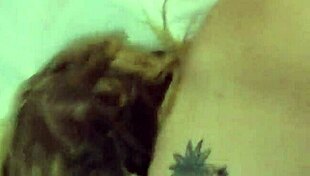 Hot Wife Screaming While Fucked During Husband’s Absence