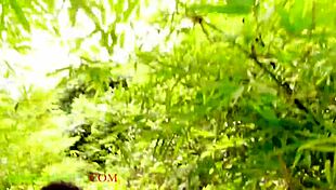 ब्लॉन्ड और इबोनी लड़कों ने झाड़ी में चुदाई एक्सप्लोर की