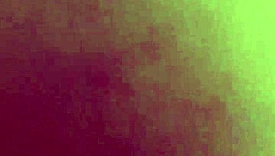 My sweet wife shares her daily life and loving moments.